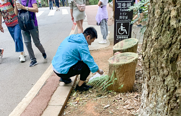 1656660772834441.jpg (小圖)6.jpg